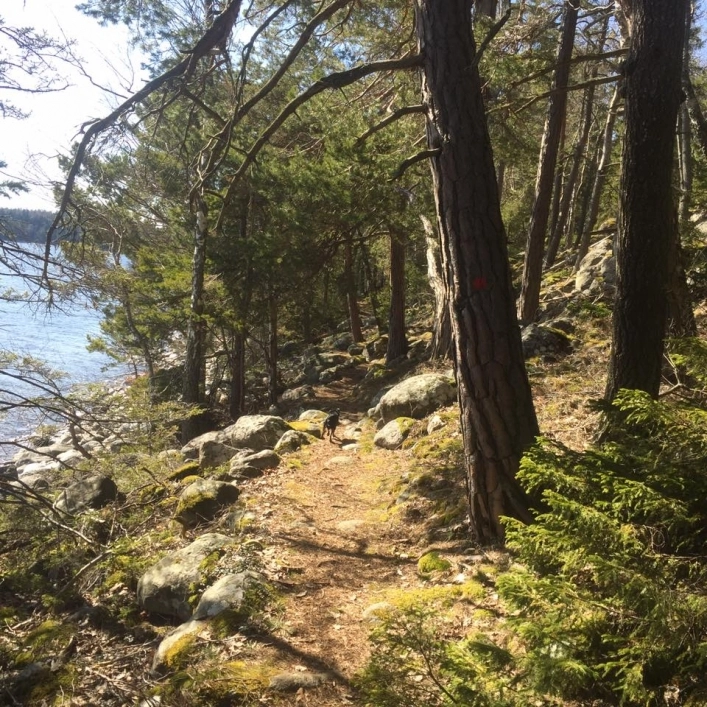 Gålö Havsbad - zdjęcie 2