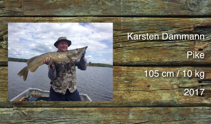 zobacz camping - zdjęcie 9