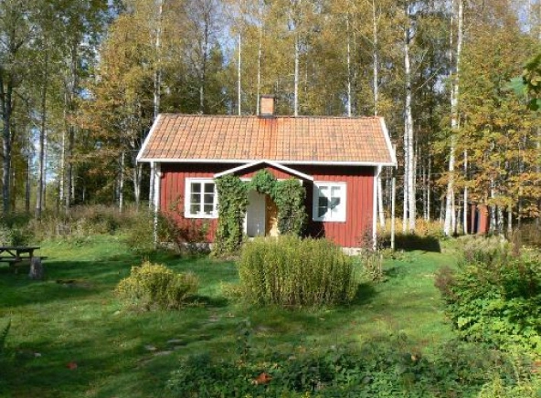 zobacz camping - zdjęcie 15