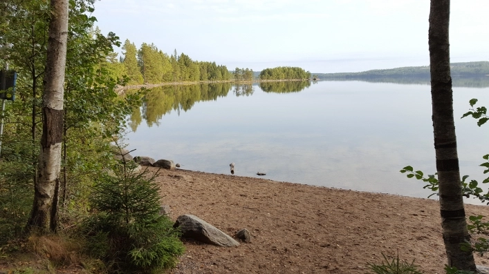 Glaskogens Camping - zdjęcie 4