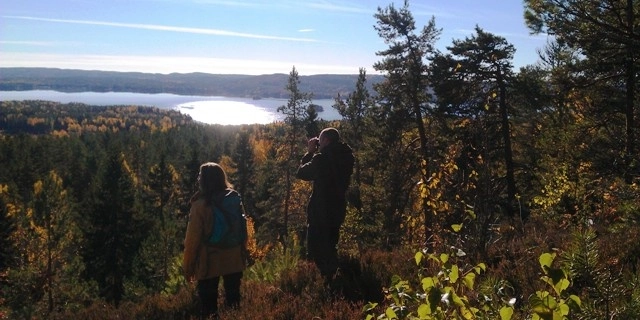Glaskogens Camping - zdjęcie 2
