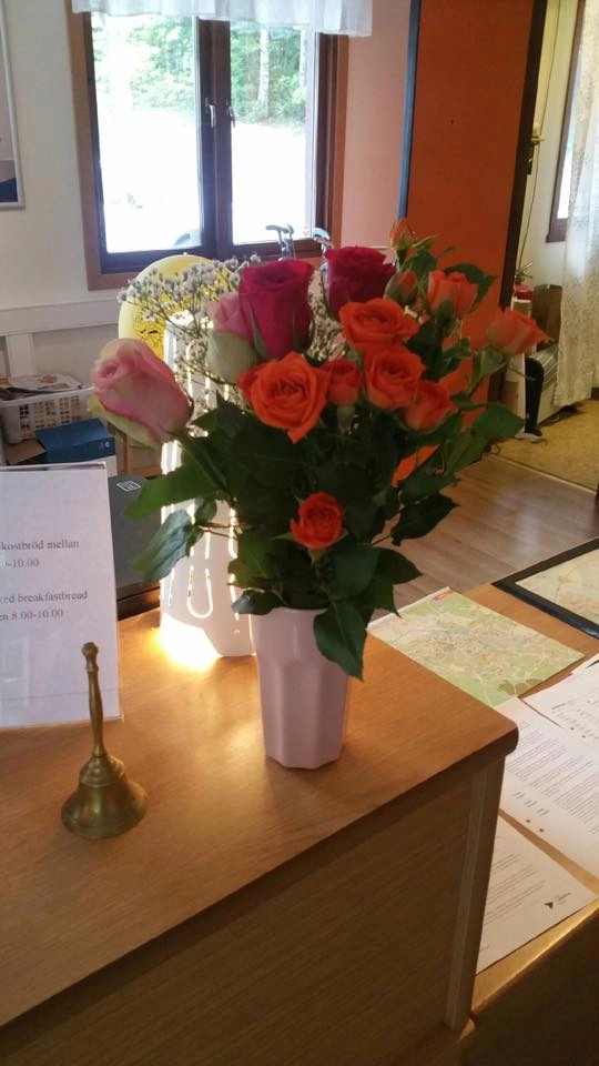 zobacz camping - zdjęcie 15