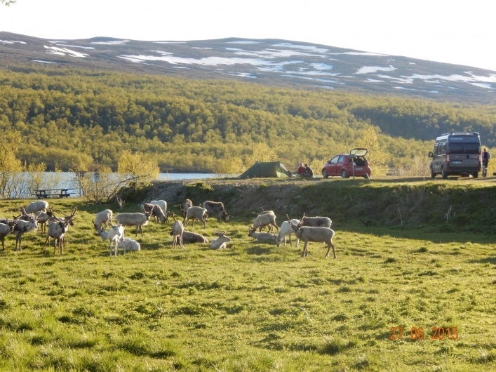 zobacz camping - zdjęcie 15