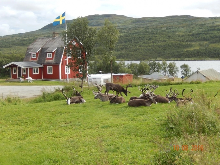 zobacz camping - zdjęcie 14