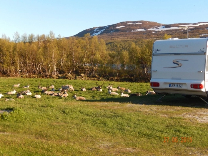 zobacz camping - zdjęcie 11