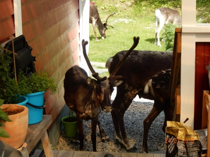 zobacz camping - zdjęcie 9