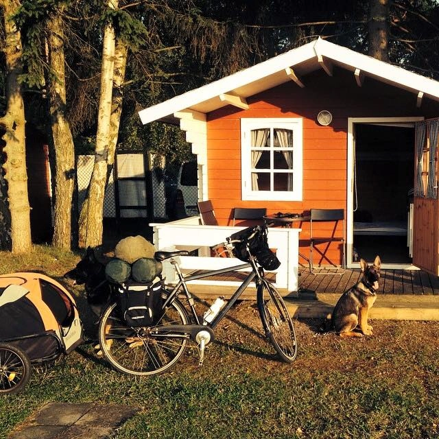 zobacz camping - zdjęcie 11