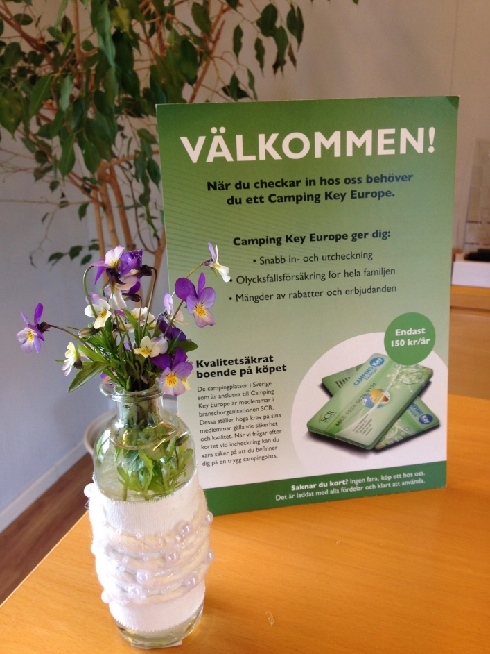 zobacz camping - zdjęcie 6