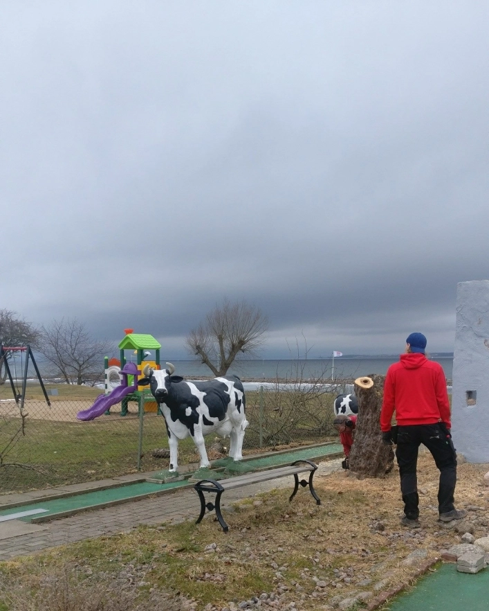 zobacz camping - zdjęcie 17