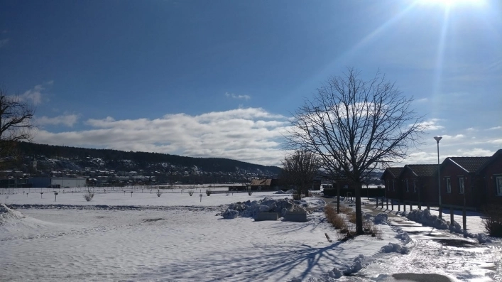 zobacz camping - zdjęcie 16