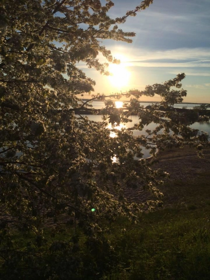 zobacz camping - zdjęcie 15