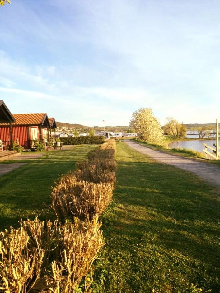 zobacz camping - zdjęcie 10