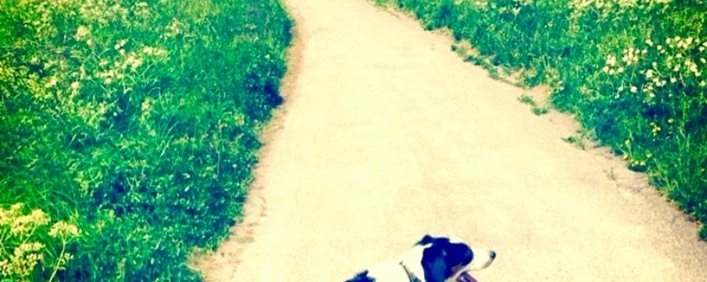 zobacz camping - zdjęcie 7