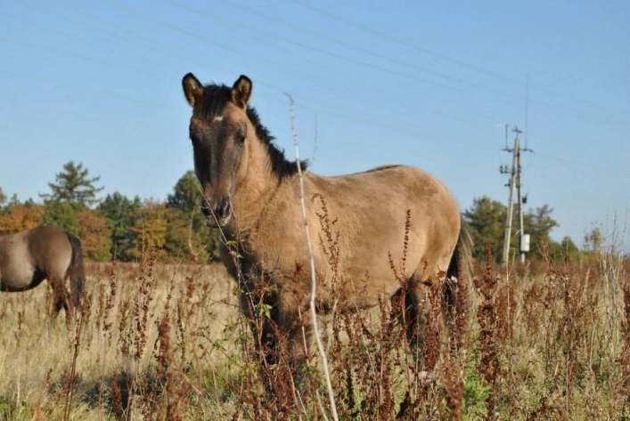 Galeria zdjęć - zdjęcie 1