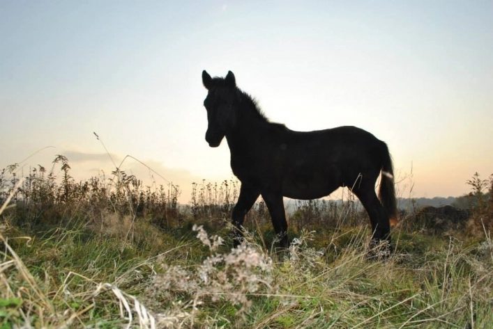 Galeria zdjęć - zdjęcie 2