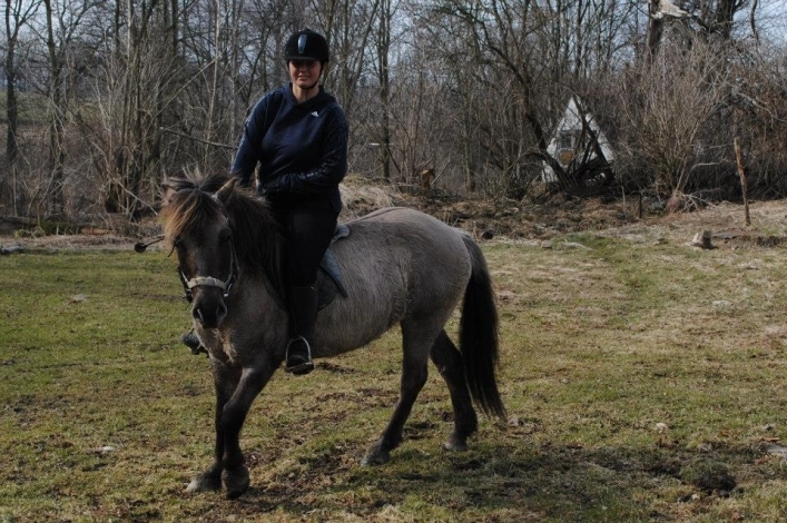 Galeria zdjęć - zdjęcie 3