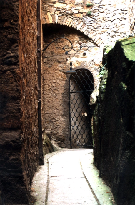 Galeria zdjęć - zdjęcie 8