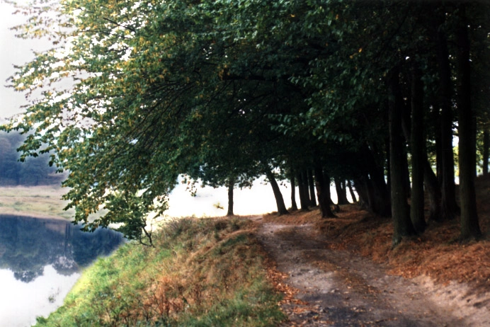 Galeria zdjęć - zdjęcie 11