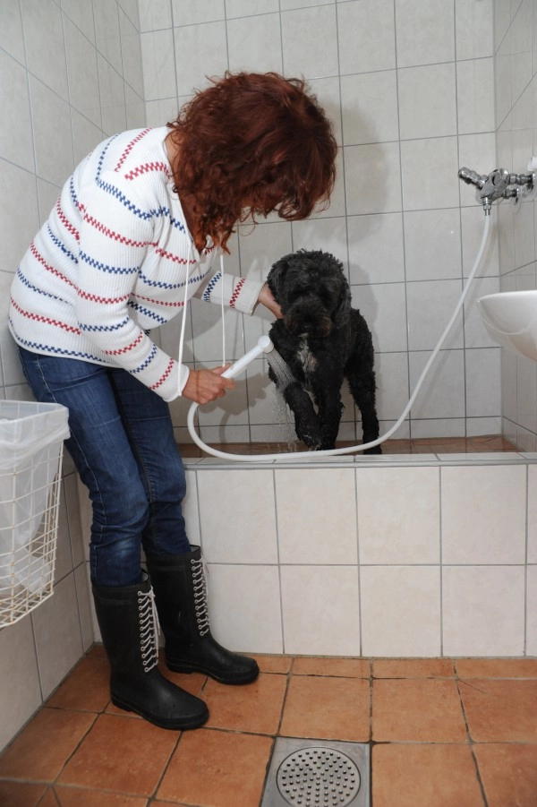 zobacz camping - zdjęcie 28