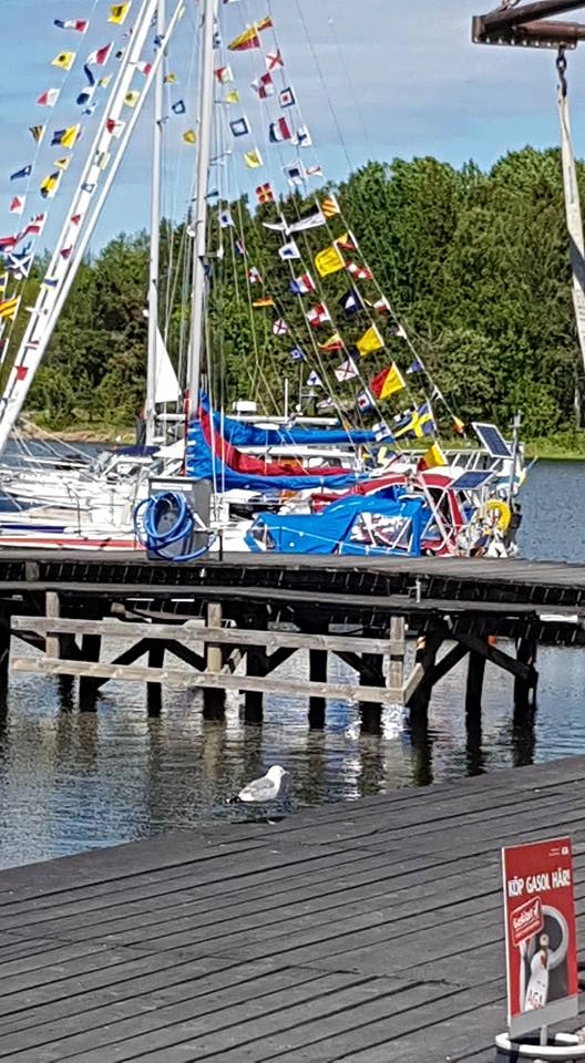 Grisslehamns Husvagnscamping - zdjęcie 3