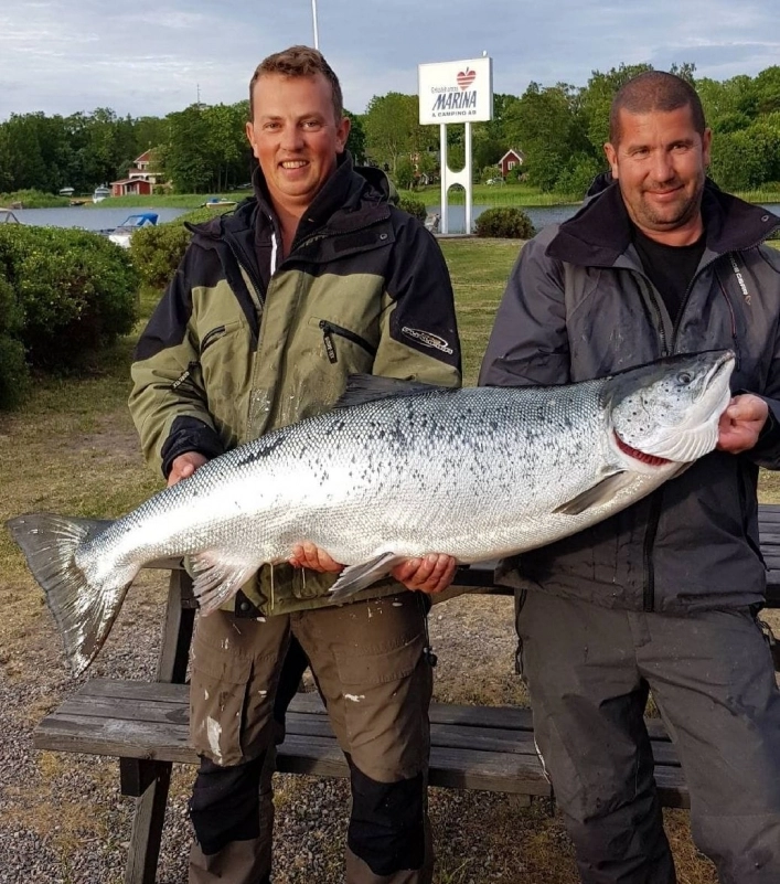 Grisslehamns Husvagnscamping - zdjęcie 2