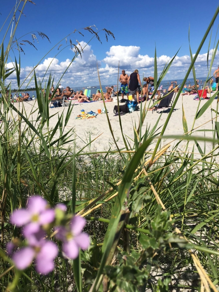 zobacz camping - zdjęcie 27