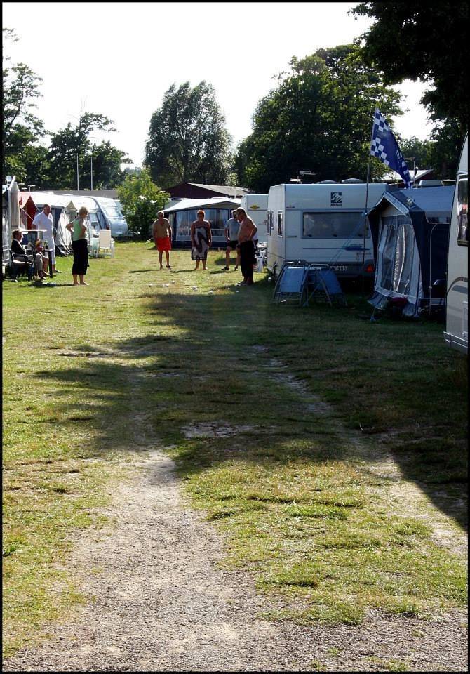 zobacz camping - zdjęcie 11