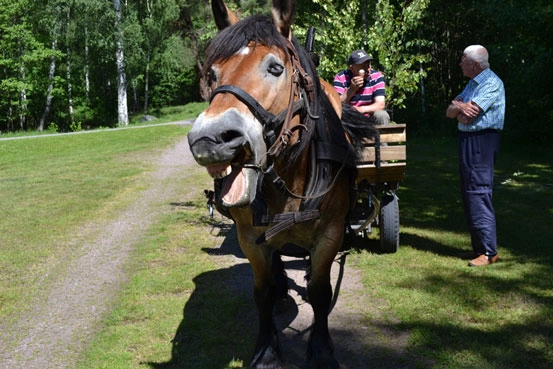 zobacz camping - zdjęcie 5