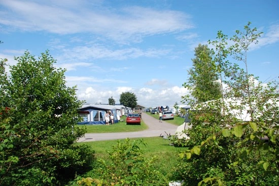 zobacz camping - zdjęcie 18