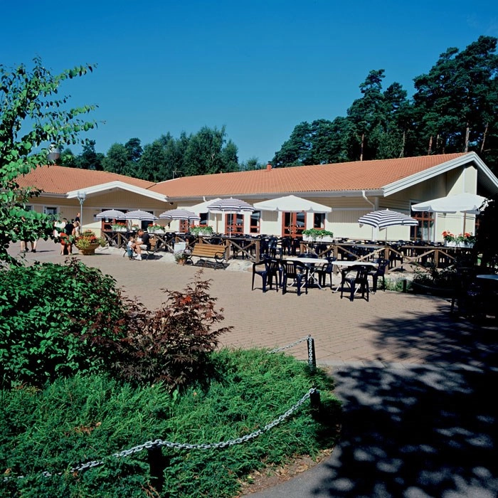 zobacz camping - zdjęcie 8