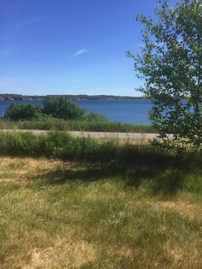 zobacz camping - zdjęcie 22