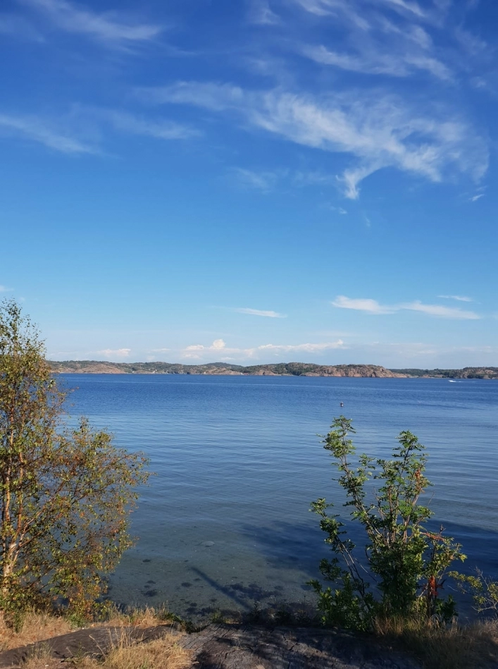 zobacz camping - zdjęcie 19