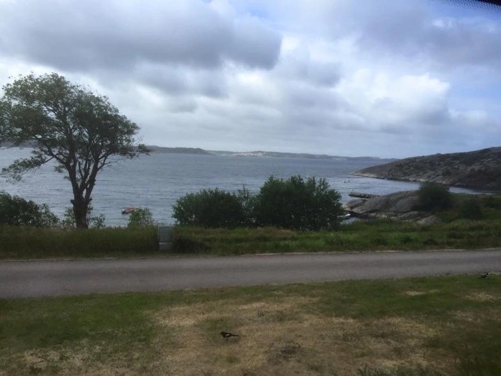 zobacz camping - zdjęcie 18