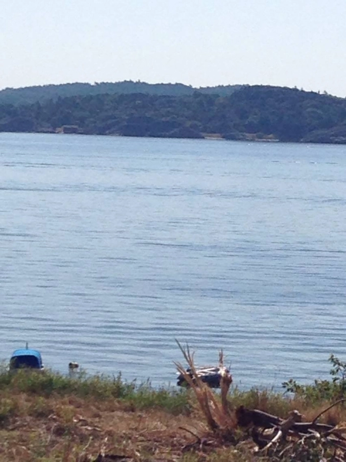 zobacz camping - zdjęcie 12