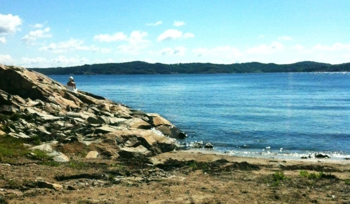 zobacz camping - zdjęcie 6