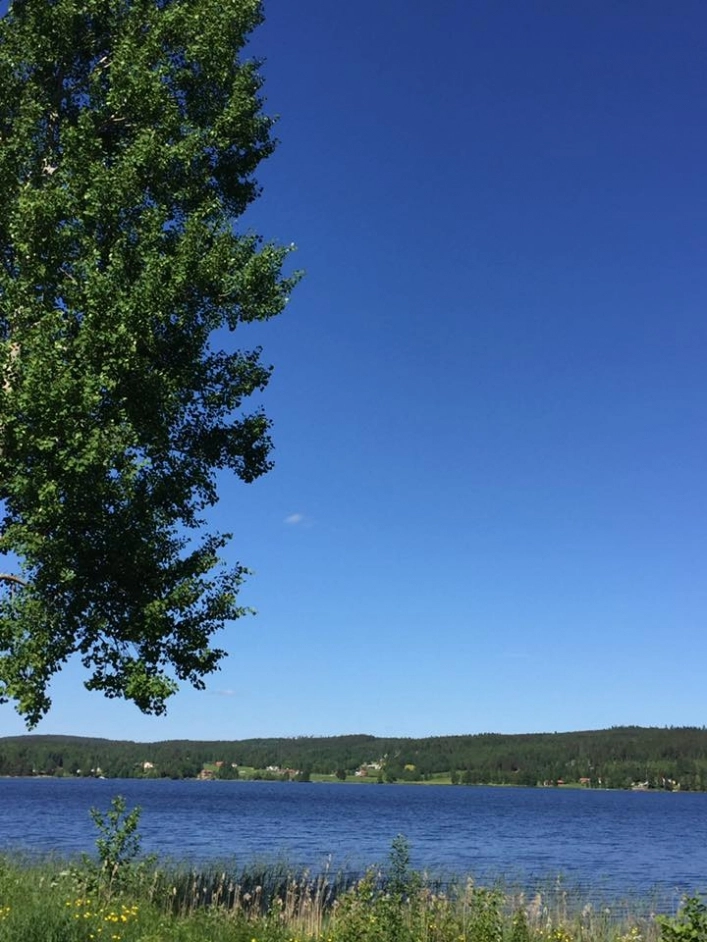 Gustavsberg Naturistcamping - zdjęcie 1