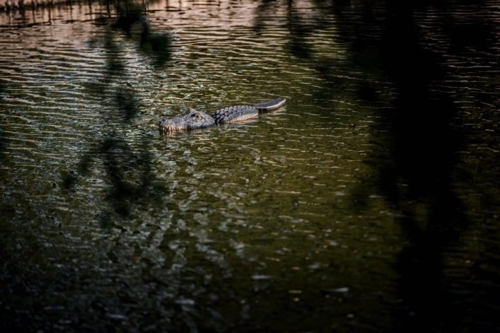 zobacz camping - zdjęcie 34