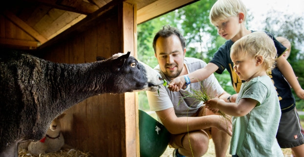 zobacz camping - zdjęcie 30