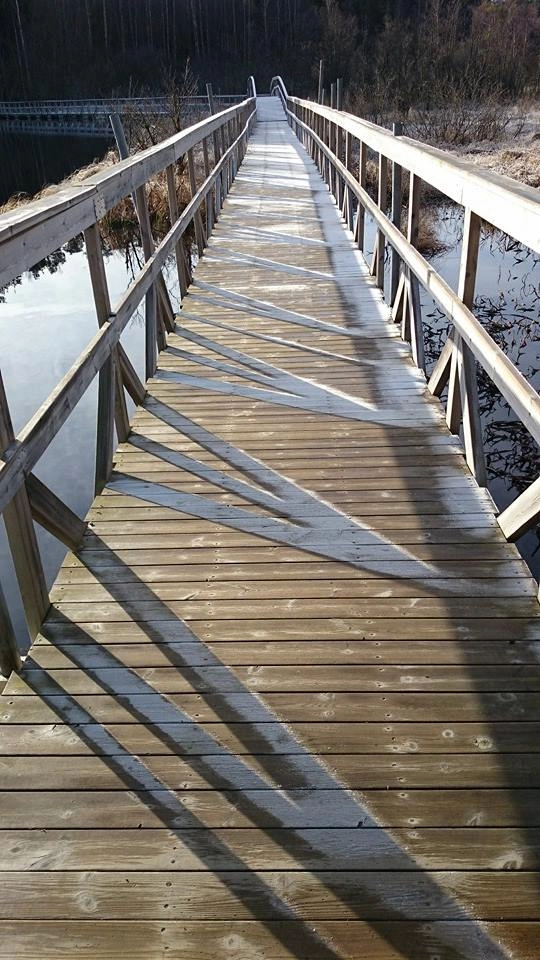 zobacz camping - zdjęcie 41