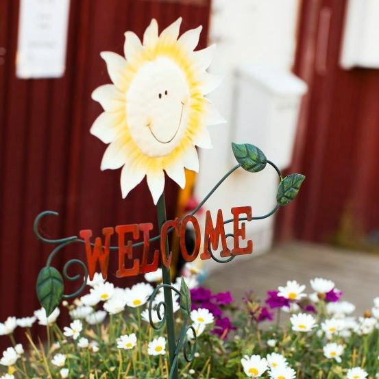 zobacz camping - zdjęcie 31