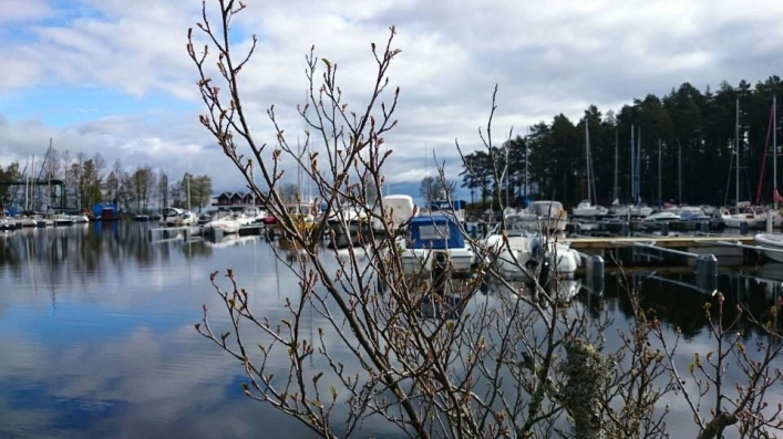 zobacz camping - zdjęcie 26