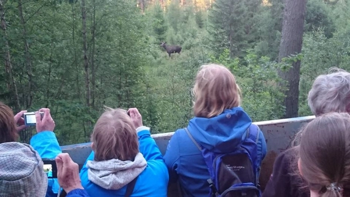 zobacz camping - zdjęcie 16