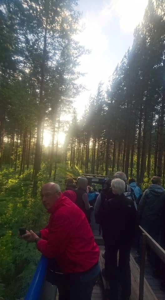 zobacz camping - zdjęcie 4