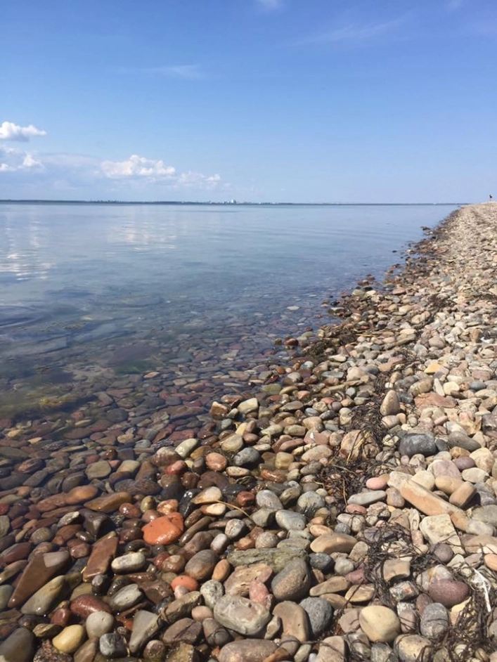 zobacz camping - zdjęcie 6