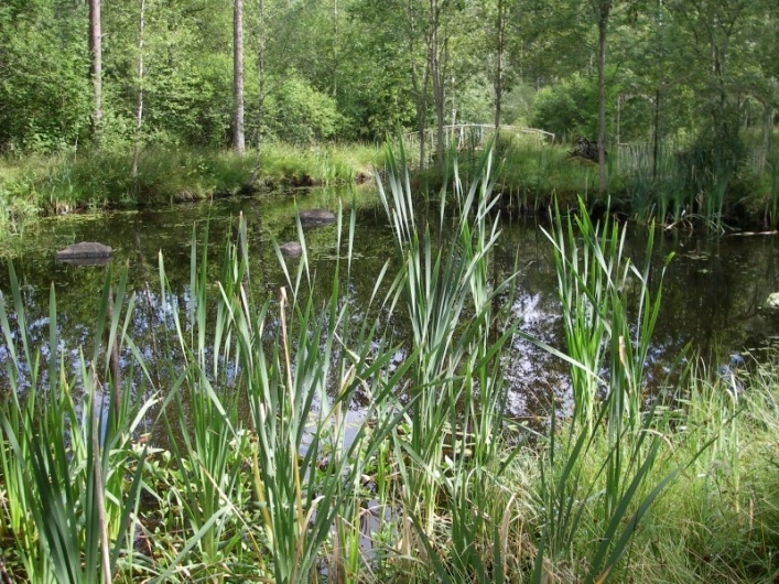 zobacz camping - zdjęcie 21