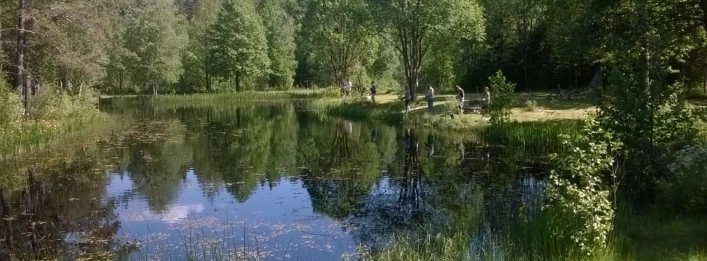 zobacz camping - zdjęcie 15