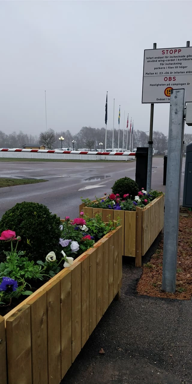 zobacz camping - zdjęcie 16