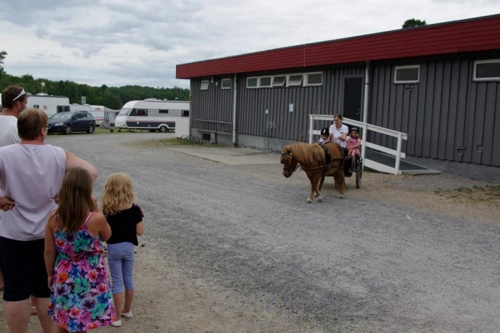 zobacz camping - zdjęcie 30