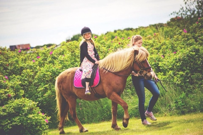 zobacz camping - zdjęcie 8