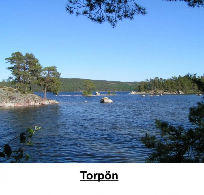 zobacz camping - zdjęcie 25